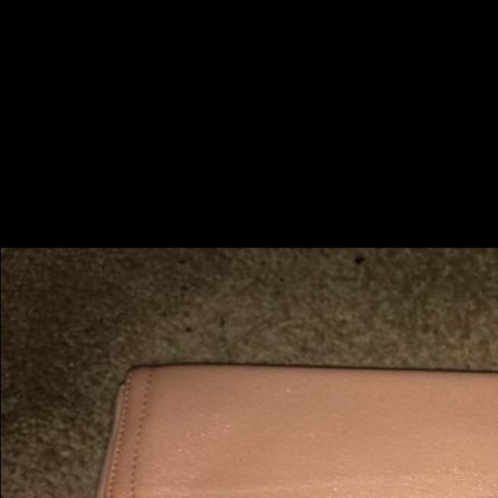BCBG clutch